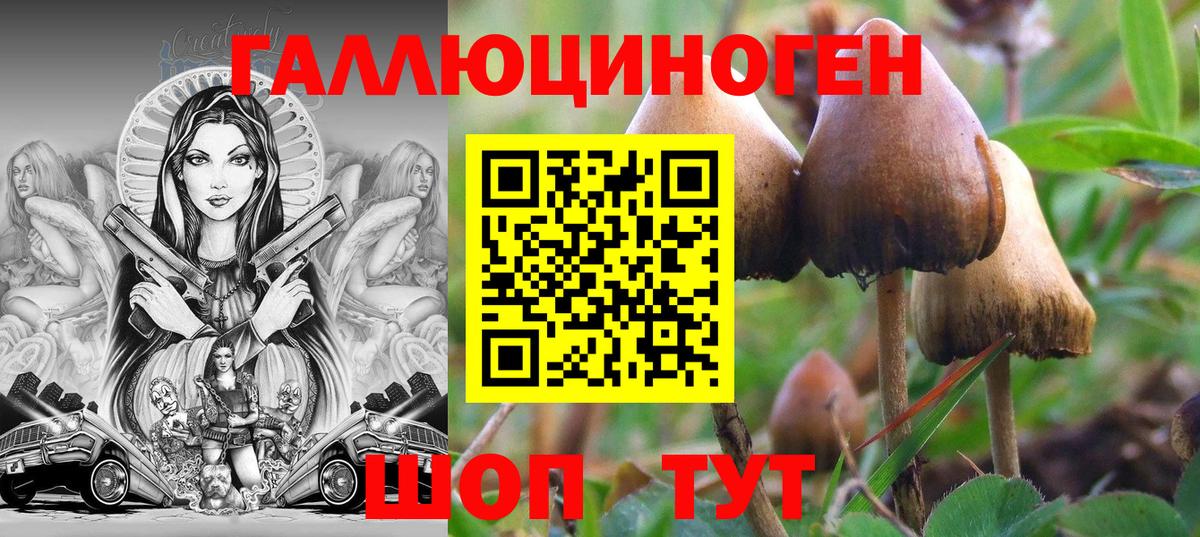 Галлюциногенные грибы MAGIC MUSHROOMS  Вход с VPN  Мариинск 