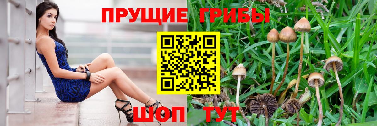 Галлюциногенные грибы GOLDEN TEACHER Мариинск